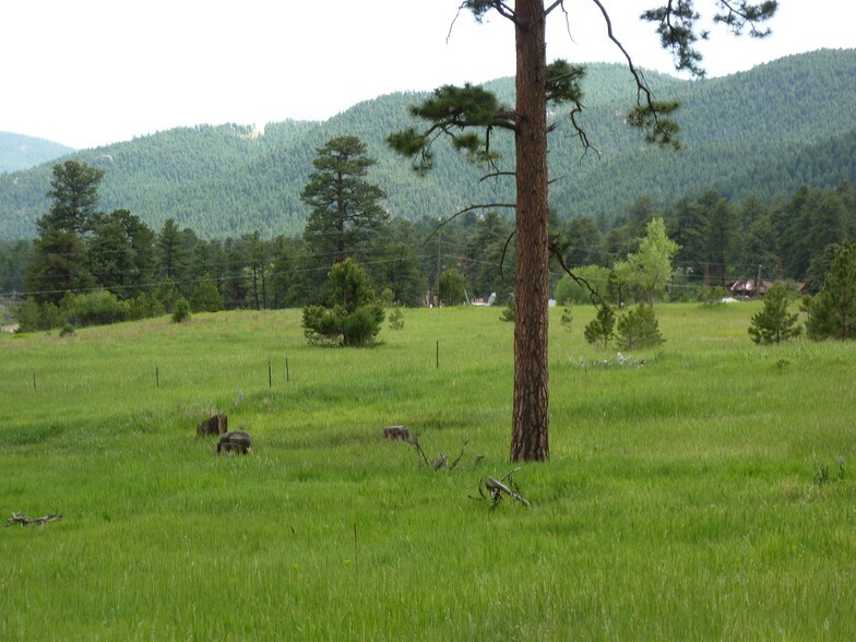 More Photos Of 4506 Parmalee Gulch Rd, Indian Hills Land For Sale