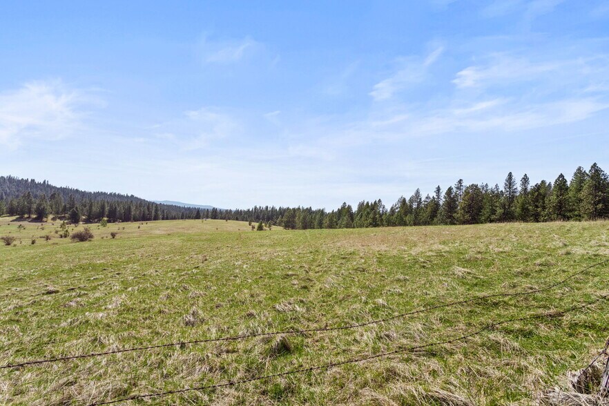 More Photos Of 15809 N Scribner Branch Rd, Spokane Land For Sale