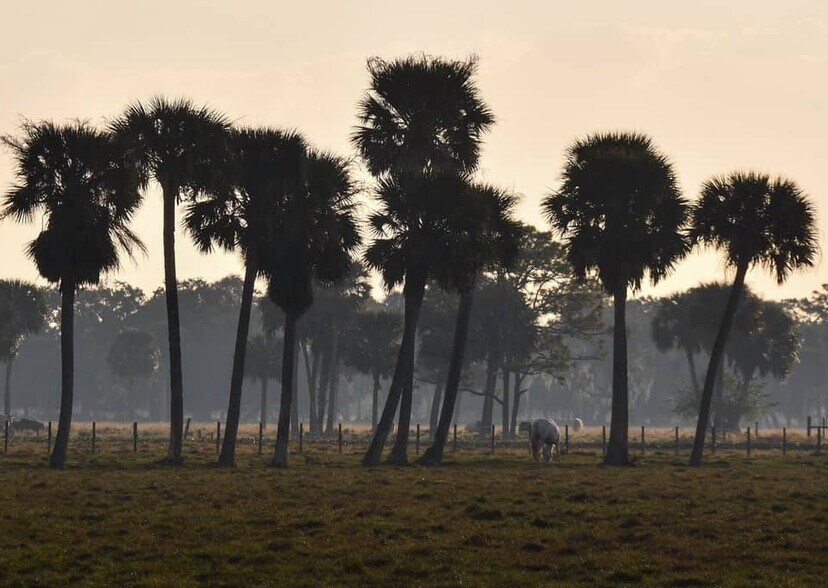 More Photos Of 3893 NW 50th Drive, Okeechobee Land For Sale