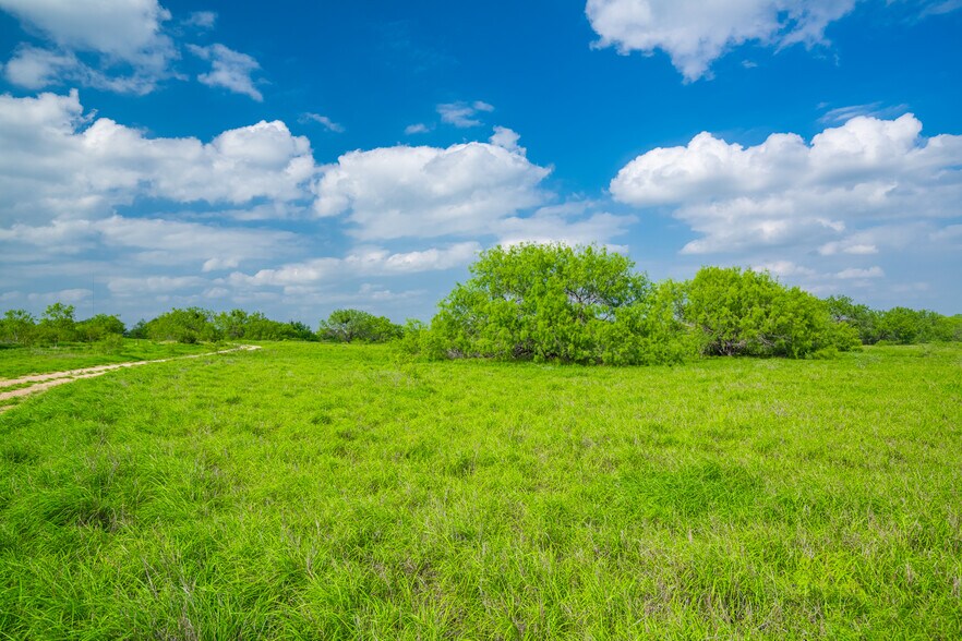 More Photos Of Las Brisas Road, Rio Grande City Land For Sale