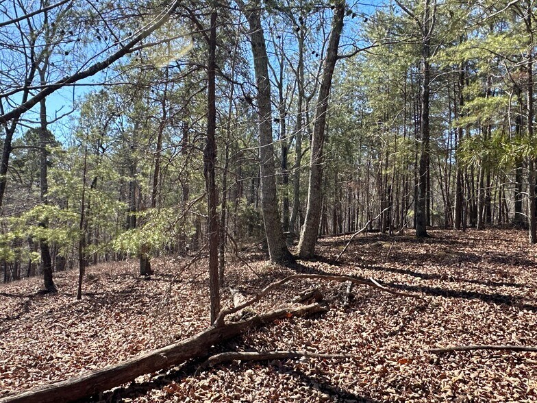More Photos Of 3472 Prior Station Rd, Cedartown Land For Sale