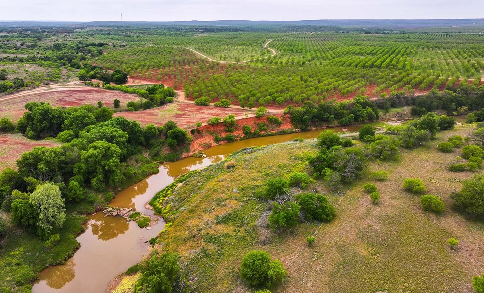 Primary Photo Of 450 County Road 417, Goldthwaite Land For Sale