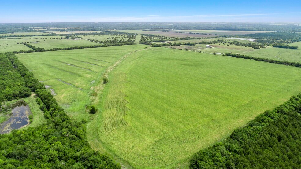 More Photos Of CR-1067, Greenville Land For Sale