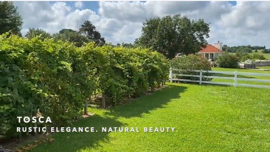 More Photos Of 231 Hostetter Rd, New Waverly Land For Sale