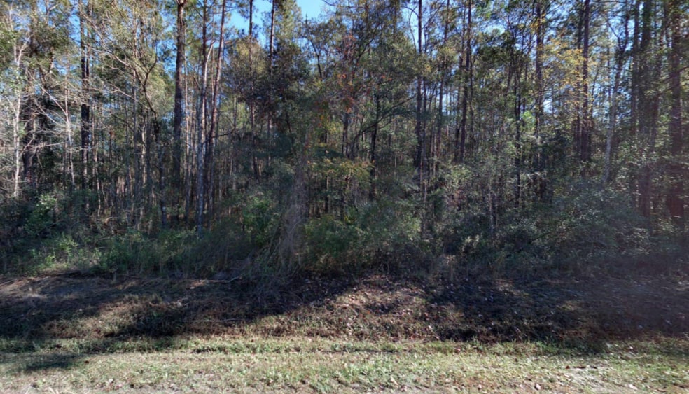 More Photos Of 10530 Flikkema ave, Hastings Land For Sale