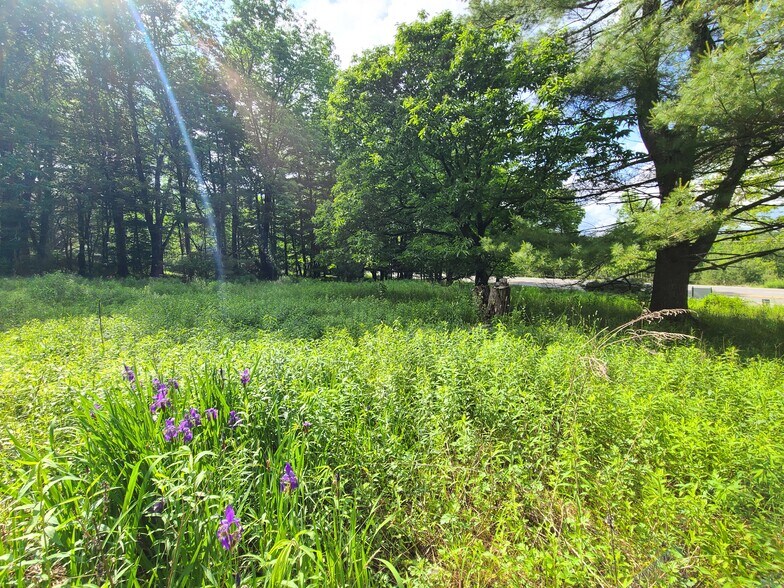 More Photos Of 1195 State Route 17B, Bethel Land For Sale