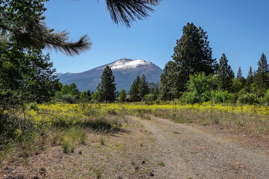 More Photos Of 10800 South Hwy 3 hwy, Callahan Land For Sale