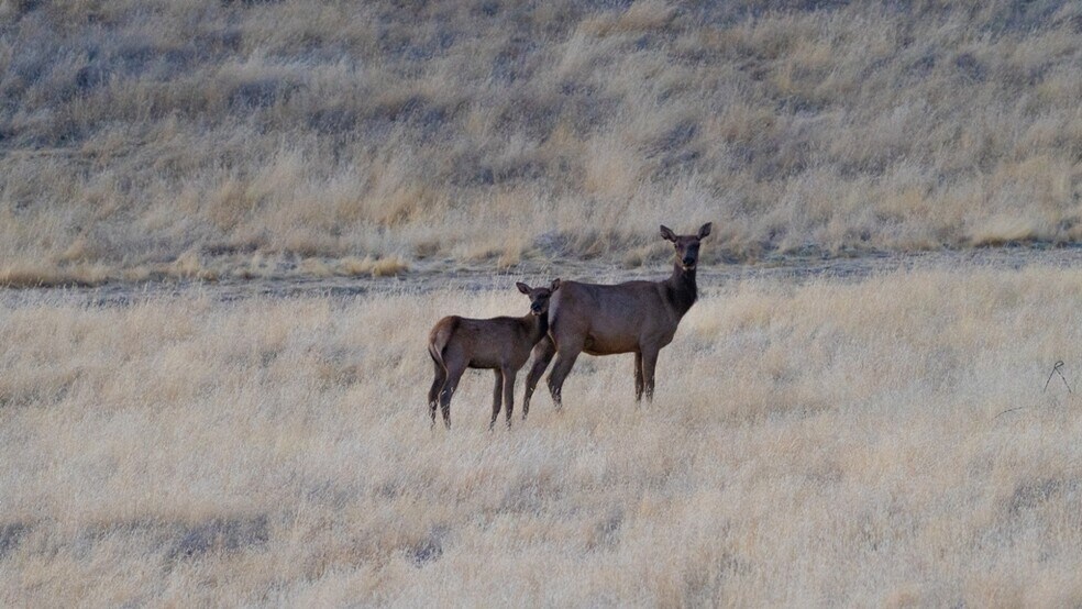 More Photos Of 47069 Crump Ln, Coalinga Land For Sale