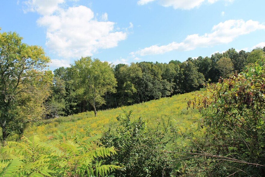 More Photos Of 1841 Young Rd S, Cleveland Land For Sale