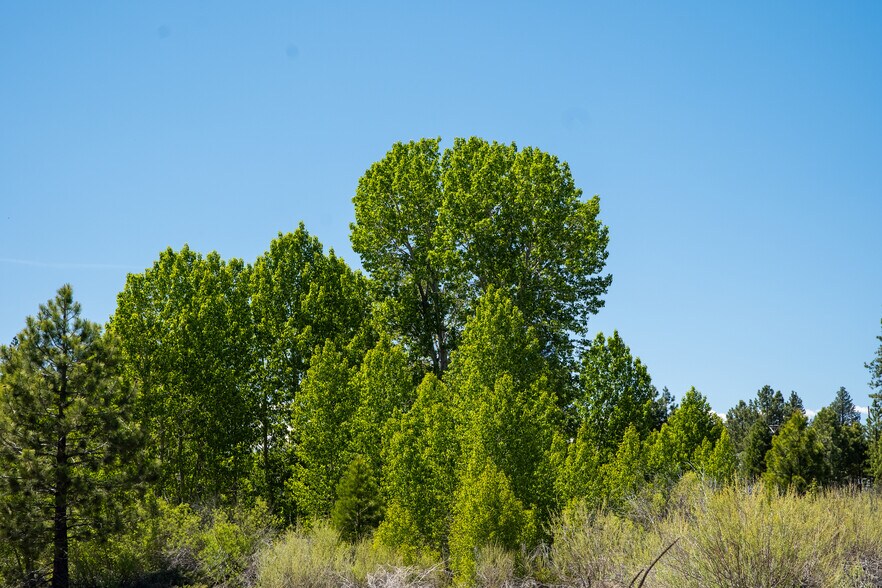 More Photos Of 000 000 Delwood Street, Westwood Land For Sale