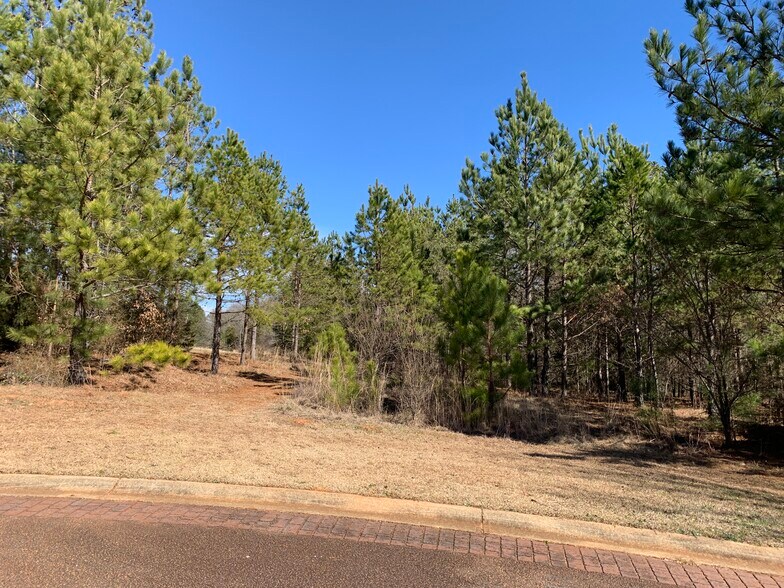 More Photos Of 1041 Founder's, Athens Land For Sale