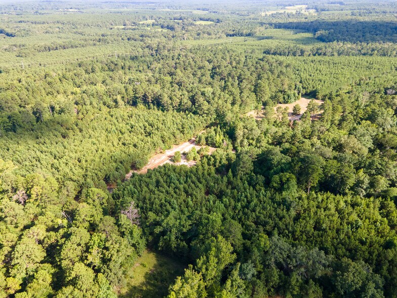 More Photos Of 2539 FM 995, Atlanta Land For Sale