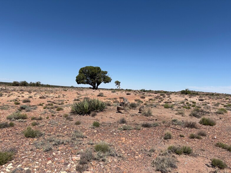 Primary Photo Of 156 County Road N9146 rd, Concho Flex For Sale
