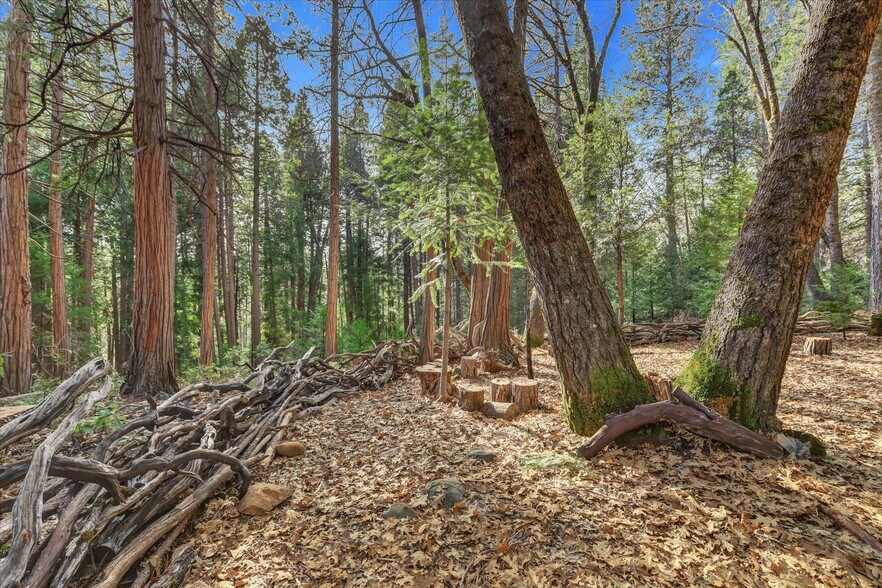 More Photos Of 14724 N Bloomfield Rd, Nevada City Flex For Sale