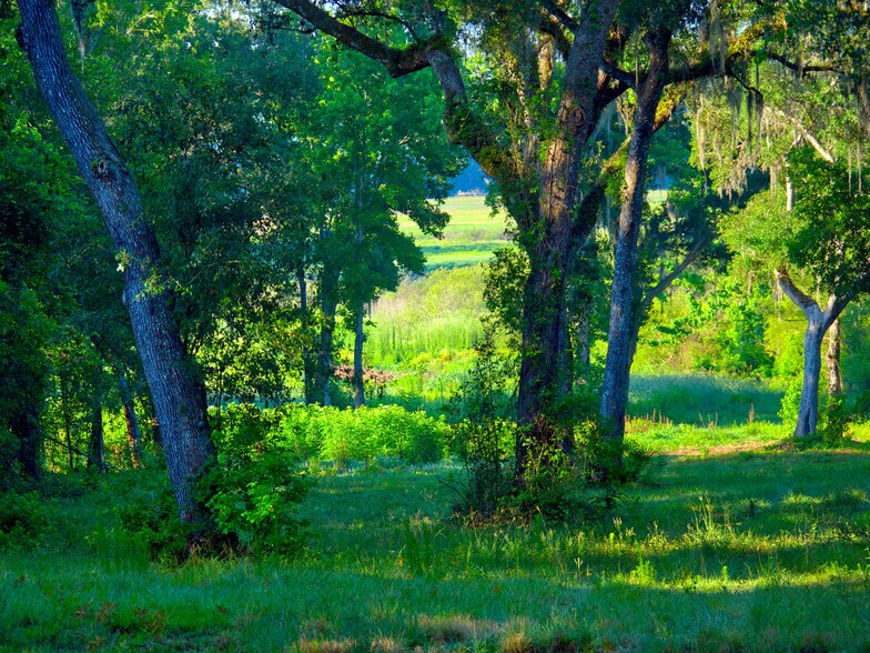 More Photos Of 3267 Neff Lake Rd, Brooksville Land For Sale