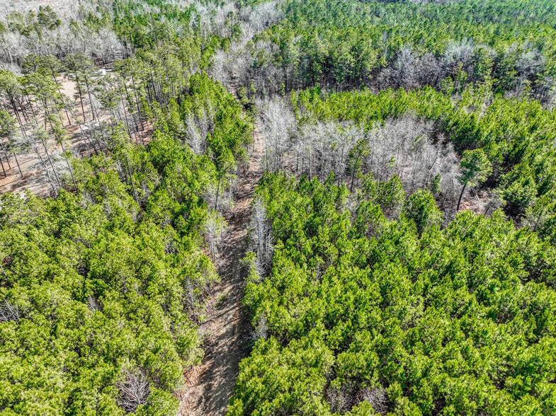 More Photos Of 184 Young Rd, Milledgeville Land For Sale