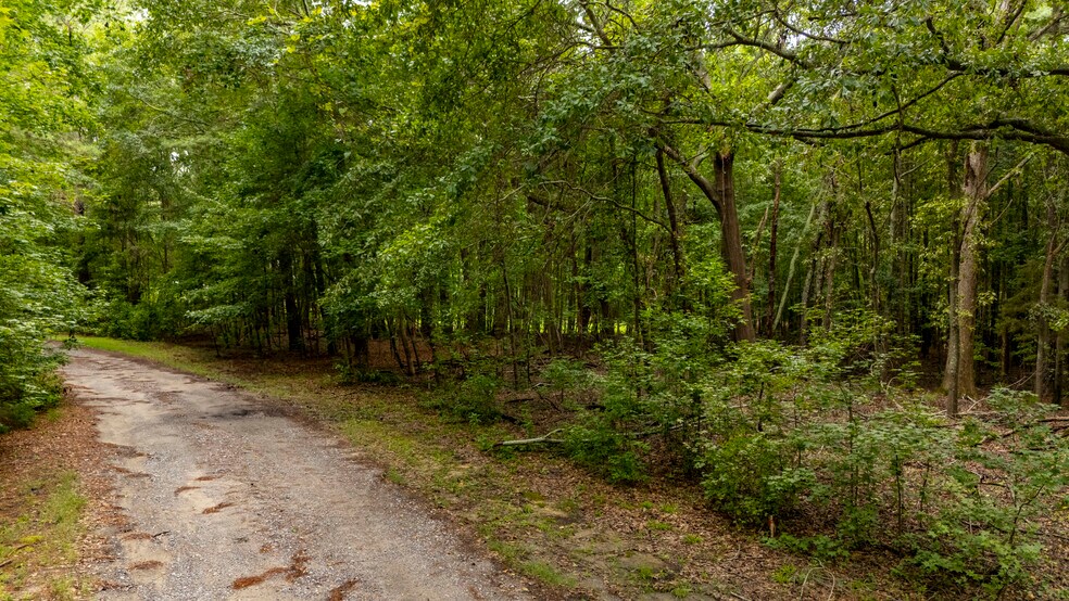 More Photos Of 227 Will Dent Rd., Lexington Land For Sale