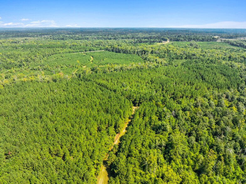 More Photos Of 7471 Highway 155, Saline Land For Sale