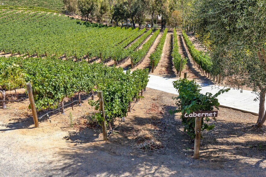 More Photos Of 36522 Via Verde, Temecula Winery Vineyard For Sale