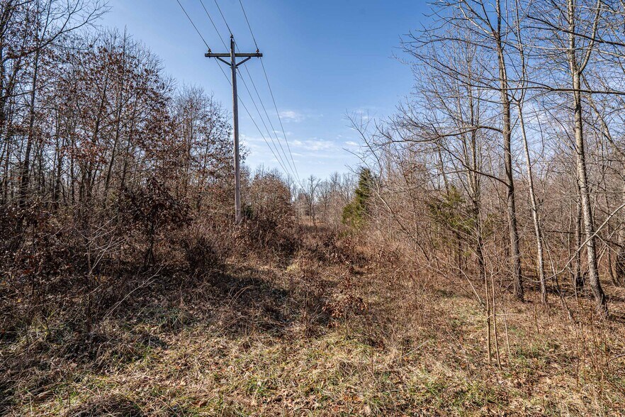 More Photos Of 0 Wilson Rd, Radcliff Land For Sale