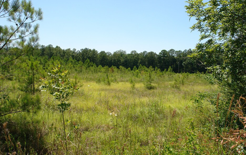 More Photos Of Al-77, Rainbow City Land For Sale