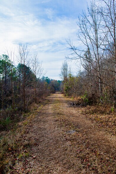 More Photos Of 409 Windward Ave, Orangeburg Land For Sale