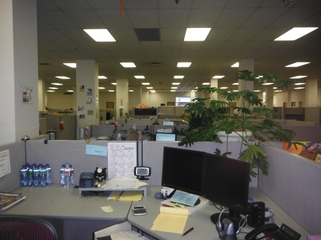 More Photos Of 302 Cushman St, Fairbanks Office For Lease