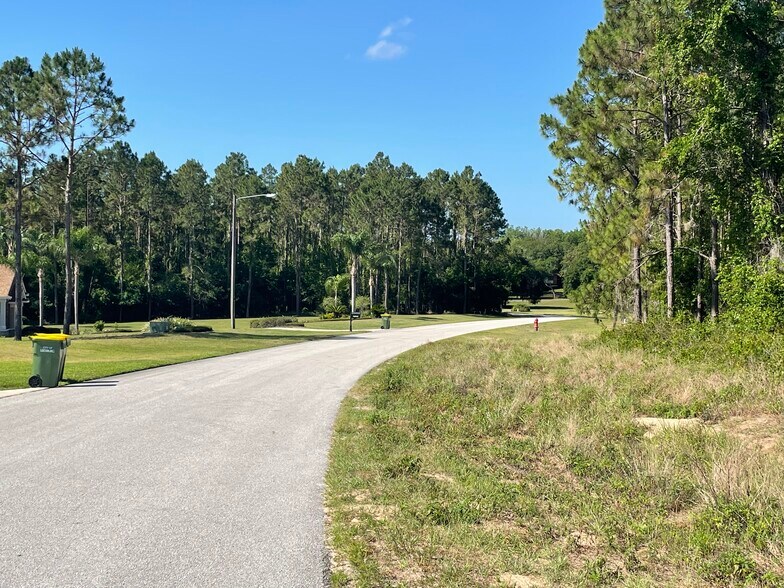 More Photos Of 31004 Secretariat Trl, Leesburg Land For Sale