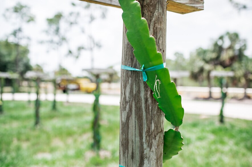 More Photos Of 20948 Corkscrew Rd, Estero Winery Vineyard For Sale