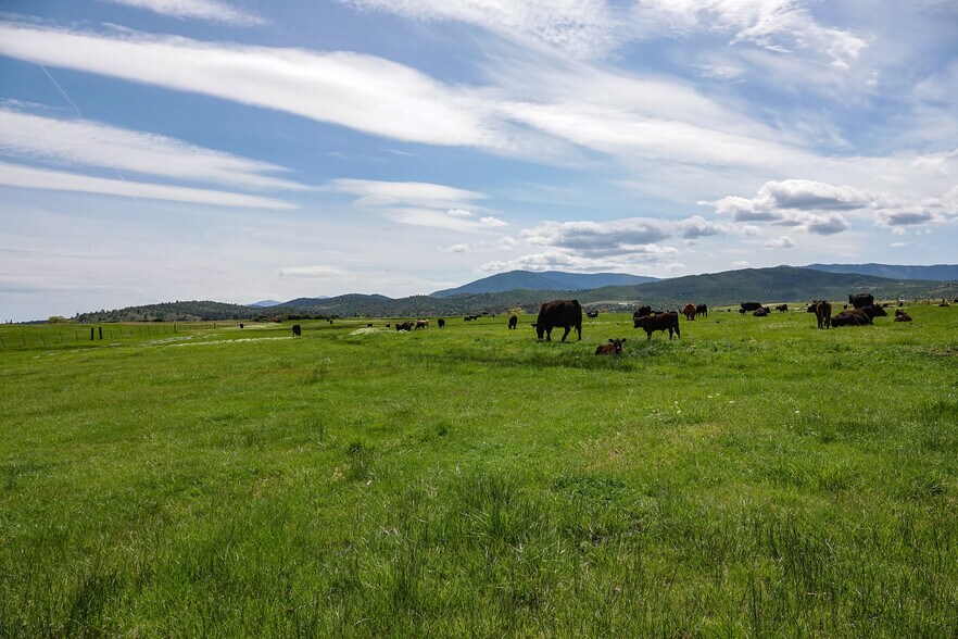 More Photos Of 704 S Phillipe Ln, Montague Land For Sale