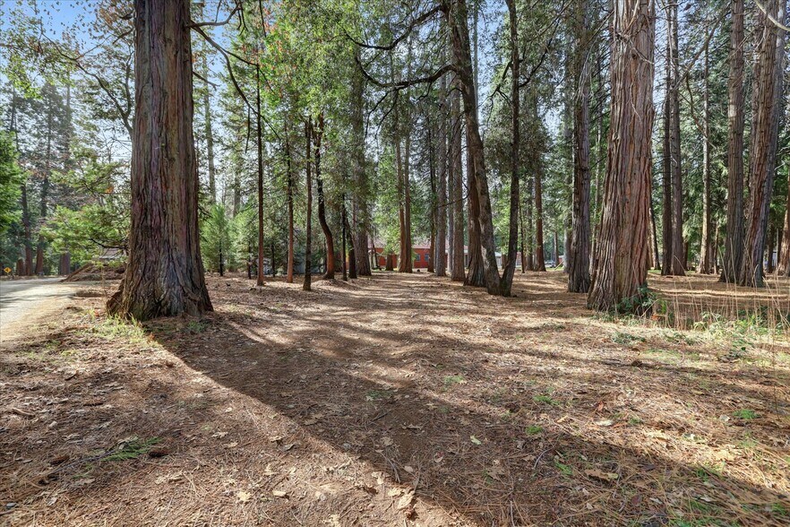 More Photos Of 14724 N Bloomfield Rd, Nevada City Flex For Sale
