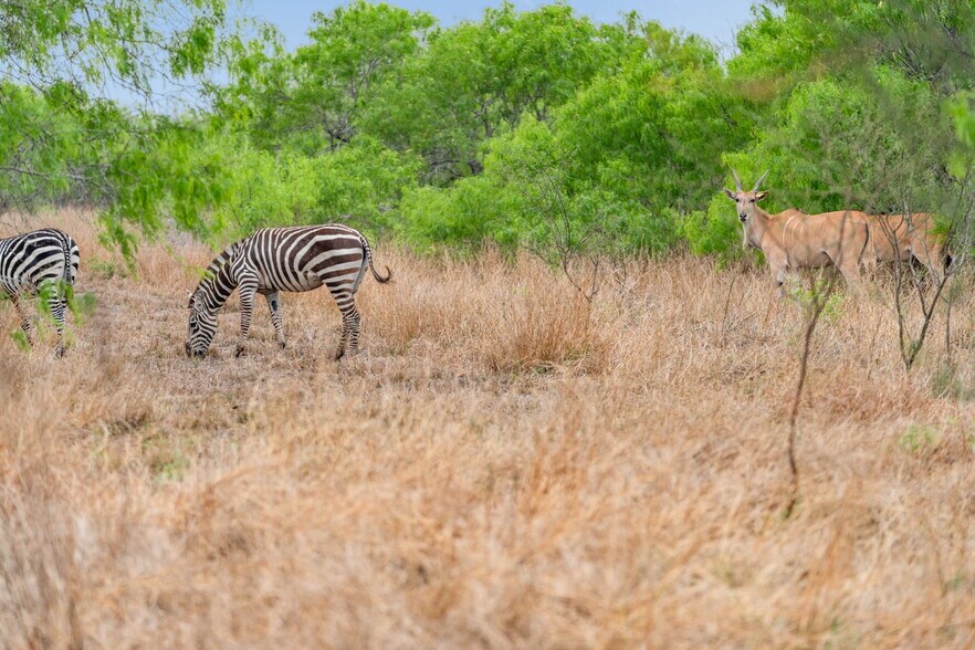 More Photos Of 141 S Private Road 1026, Kingsville Land For Sale