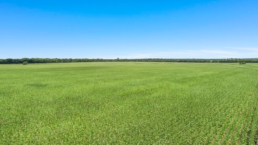 More Photos Of CR-1067, Greenville Land For Sale
