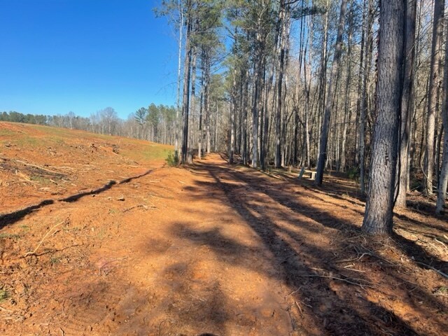 More Photos Of 693 Elledge Road, Ware Shoals Land For Sale