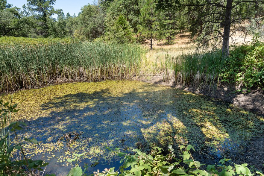 More Photos Of 25755 State Highway 88, Pioneer Land For Sale