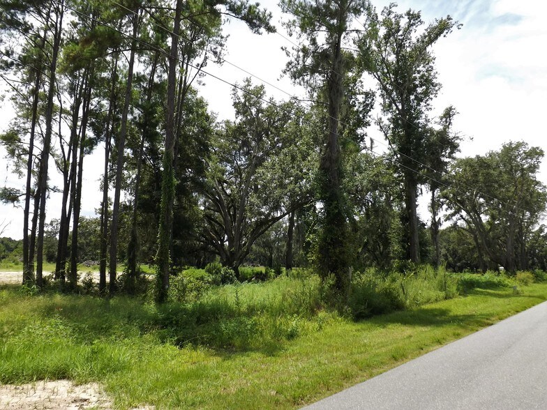 Clay Drain Road CR 156, Wildwood, FL 34785 Land For Sale