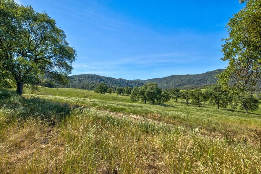 More Photos Of 4780-4784 Mary Harrison Mine Rd, Coulterville Land For Sale