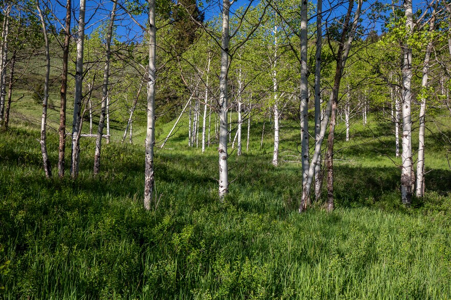 More Photos Of 3 Trail Creek Rd, Bozeman Land For Sale