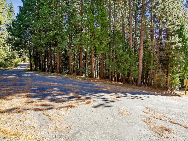 More Photos Of 13651 US Hwy 50, Kyburz Land For Sale