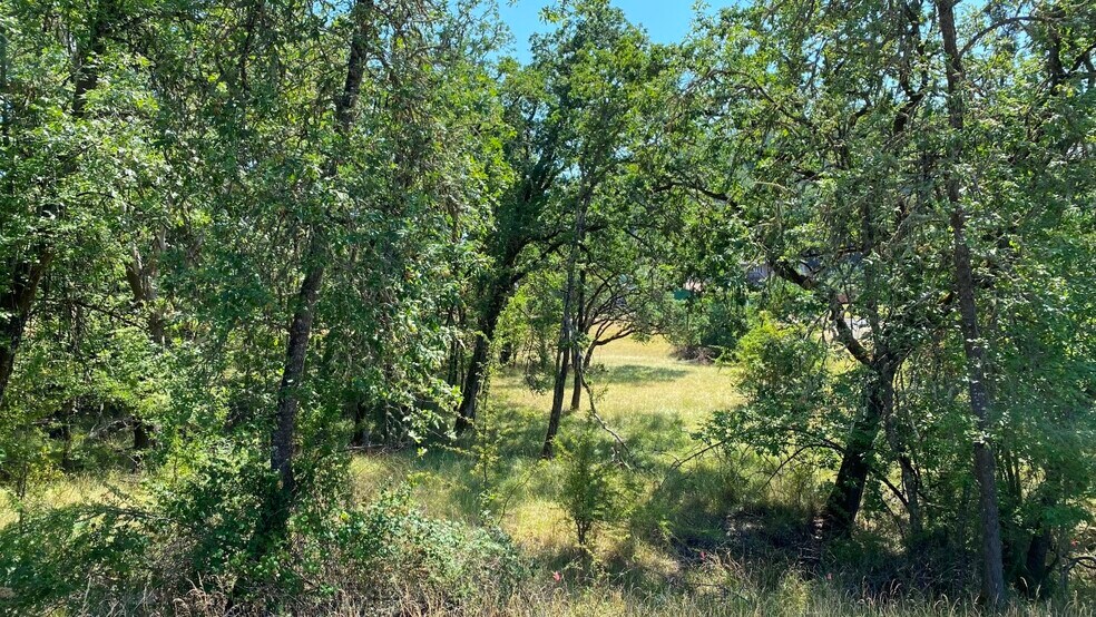 More Photos Of 1219 Junker, Roseburg Land For Sale
