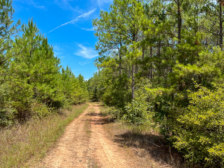 Primary Photo Of Off Lost Indian Camp Road, Huntsville Land For Sale