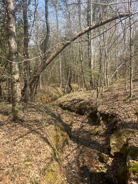 More Photos Of Healing Acres Ln, Carthage Land For Sale