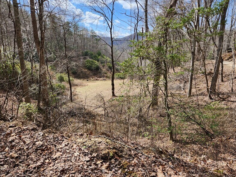 More Photos Of 00 Camp Branch Rd, Topton Land For Sale
