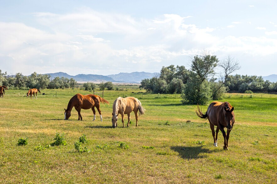 More Photos Of 210 Sybille Creek Rd, Wheatland Horse Stables For Sale
