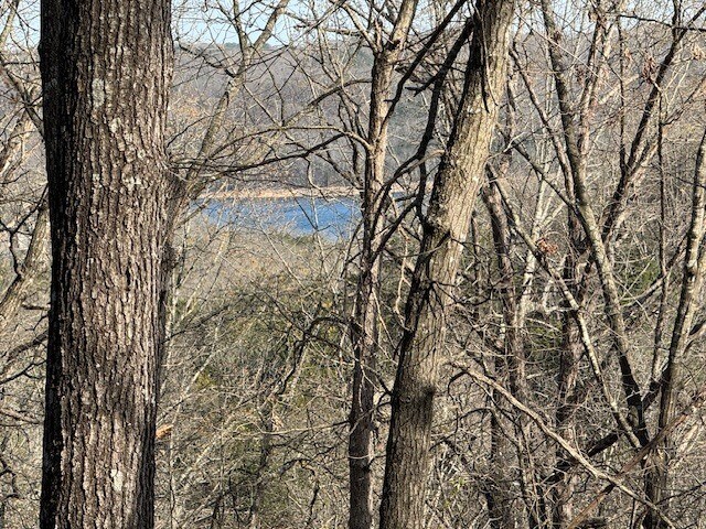 Primary Photo Of 190 Edgewater Dr, Eureka Springs Land For Sale