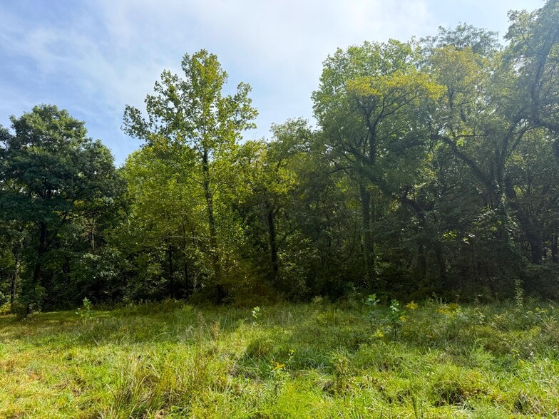 More Photos Of 17660 Golden Rd, Linwood Land For Sale