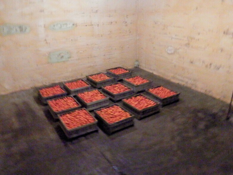 More Photos Of 6031 S Ridge Rd W, Ashtabula Specialty For Sale