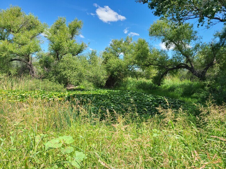 More Photos Of Curtis Rd,, Saint David Land For Sale