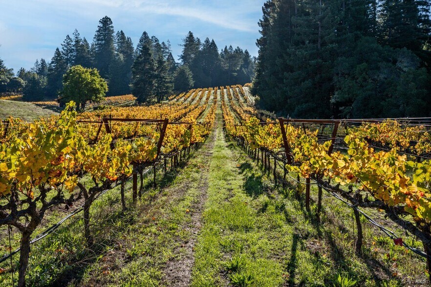 More Photos Of 7680 CA-128, Philo Land For Sale