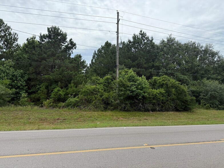 More Photos Of 18633 Penick Road, Waller Land For Sale